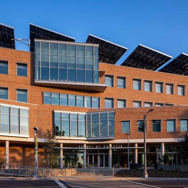 New Business Building Landscape